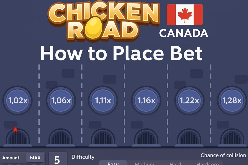 How to Place a Bet in Chicken Road Canada